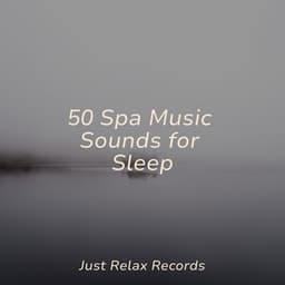 50 Spa Music Sounds for Sleep - Yoga Sounds
