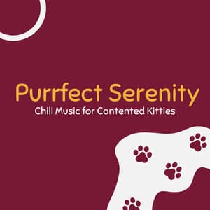Purrfect Serenity: Chill Music for Contented Kitties - Happy Sunday Morning Music