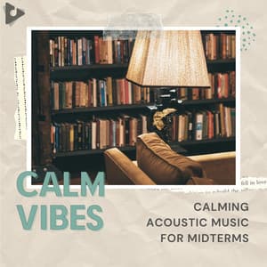 Calming Acoustic Music for Midterms - Calm Vibes