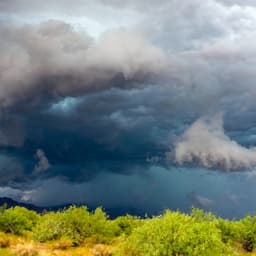 50 Cloudy Nights: Echoes on a Windowpane - Meditation Rain Sounds