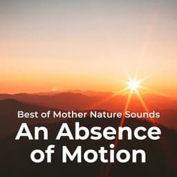 An Absence of Motion - Best of Mother Nature Sounds
