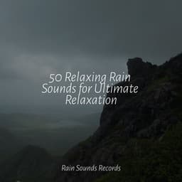 50 Relaxing Rain Sounds for Ultimate Relaxation - Rain Sound Studio