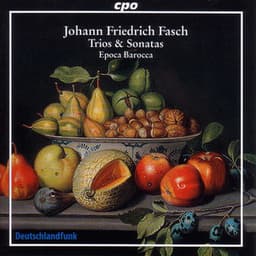 Fasch: Bassoon Sonata / 3 Quartets / 2 Trios / Canon - Johann Friedrich Fasch
