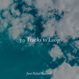 50 Tracks to Loop - Instrumental