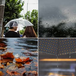 Sparkling Music for Cozy Thunderstorms - Big Band Ballad with Guitar - Bossanova Playlist for Cafes