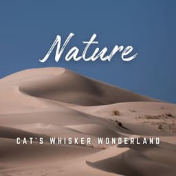 Cat's Whisker Wonderland: Soothing Melodies - The Entrainment