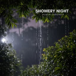 Showery Night - Robin Gardner