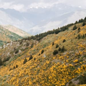 1 Ambient Noise:Yoga Zen Zone - Focus Noise