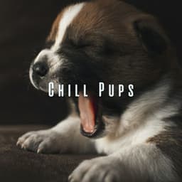 Chill Pups: Relaxation Sounds for a Happy Dog - 101 Relax