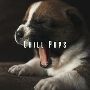 Chill Pups: Relaxation Sounds for a Happy Dog - 101 Relax