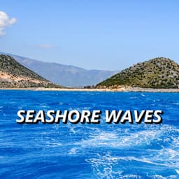 Seashore Waves - Seashore Waves