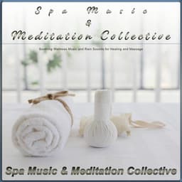 Spa Music & Meditation Collective: Soothing Wellness Music and Rain Sounds for Healing and Massage - Spa Music & Meditation Collective
