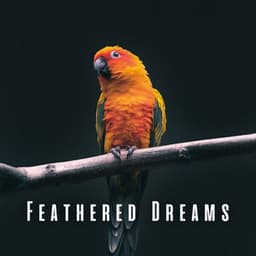 Feathered Dreams: Light Rain and Bird Sounds for Sleep - Stormy Dreams (Rain)
