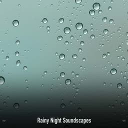 !!!!" Rainy Night Soundscapes "!!!! - Sonidos De Truenos y Lluvia