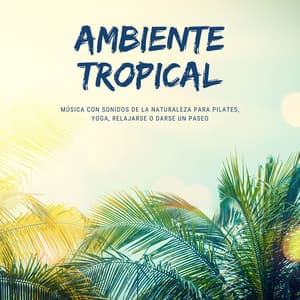 Ambiente Tropical: Música con Sonidos de la Naturaleza para Pilates, Yoga, Relajarse o Darse un Paseo - Tropical Pilates