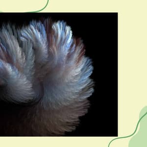 Latin Guitar - Bgm for New Beginnings - Rio Bossa Nova Quartet