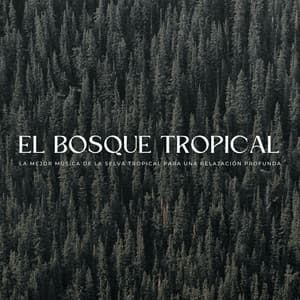 El Bosque Tropical: La Mejor Música De La Selva Tropical Para Una Relajación Profunda - El colectivo de la selva tropical