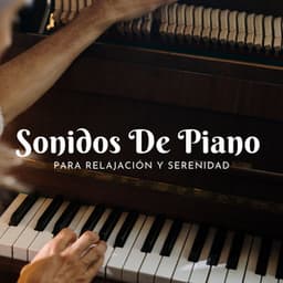 Sonidos De Piano Para Relajación Y Serenidad - Novela para piano