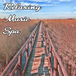 Relaxing Spa Music - Relaxing Spa Music