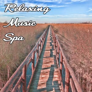 Relaxing Spa Music - Relaxing Spa Music