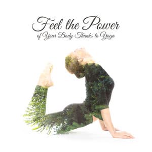 Feel the Power of Your Body Thanks to Yoga - Special Yoga Creator