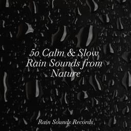 50 Calm & Slow Rain Sounds from Nature - Yoga