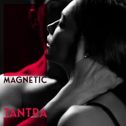 Magnetic Tantra - Jonathan Segue