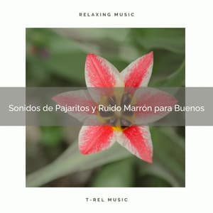 Sonidos de Pajaritos y Ruido Marrón para Buenos - Ruido Blanco