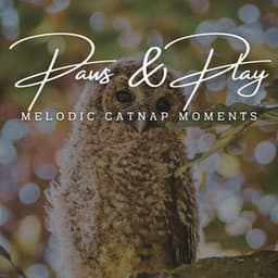 Paws & Play: Jazz Lounge Grooves for Pets - Soft Jazz Songs