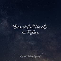 Beautiful Tracks to Relax - Soothing Nature Sounds