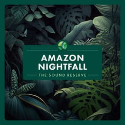 Amazon Nightfall - The Sound Reserve