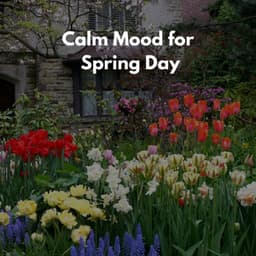 The Spring Yard - Evening Chillout Playlist