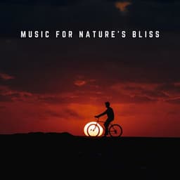 Music for Nature's Bliss: Waterfall Melodies - Waterfall White Noise