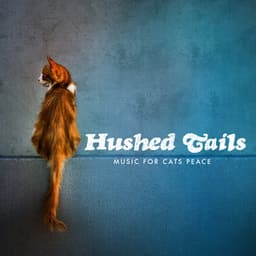 Hushed Tails - Music for Cats Peace