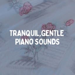 Tranquil, Gentle Piano Sounds - Relaxcation