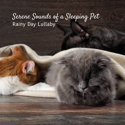 Serene Sounds of a Sleeping Pet: Rainy Day Lullaby - Pet Music World
