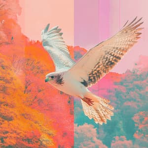 * Aerial Aria for Accepting Fate and Future * - Calm Singing Birds Zone