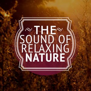 The Sound of Relaxing Nature - Bruits naturels