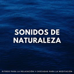 Sonidos De Naturaleza: Ritmos Para La Relajación Y Cascadas Para La Meditación - Sonidos de agua dulce para la paz interior