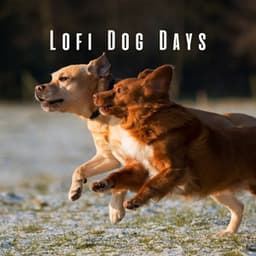 Lofi Dog Days: Ambient Tunes for Canine Relaxation - Lo-Fi Japan