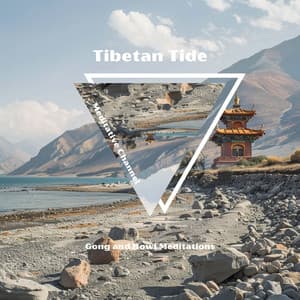 Tibetan Tide: Gong and Bowl Meditations - Meditative Channel