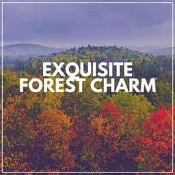 Exquisite Forest Charm - Weather and Nature Recordings