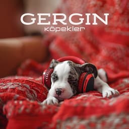 Gergin Köpekler: Yavru Köpeklerinizi Sakinleştirmek için Rahatlatıcı Terapi Müziği - Rahatlatıcı Müzik Terapi