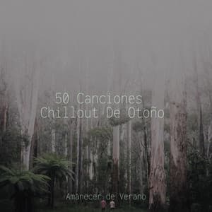 50 Canciones Chillout De Otoño - Study Music & Sounds