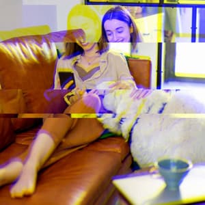 Music for Puppy Calmings - Jazz Quintet - Relaxation Music For Dogs