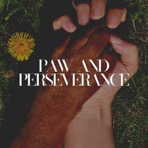 Paw and Perseverance - Dog Relaxation