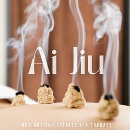 Ai Jiu: Moxibustion Chinese Spa Therapy - Chinese Yang Qin Relaxation Man