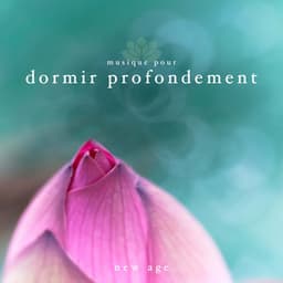 Musique pour Dormir Profondement: Battements Binauraux, Ondes Cérébrales, Sons Isochrones - Wine Loungers