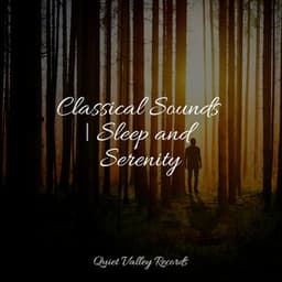 Classical Sounds | Sleep and Serenity - Sounds of Nature White Noise for Mindfulness Meditation and Relaxation
