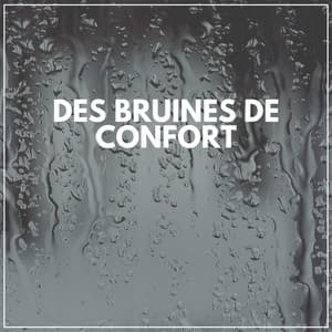 Des bruines de confort - Hi-Def FX